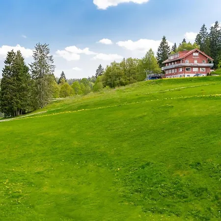 Auerhuhn 费尔德伯格