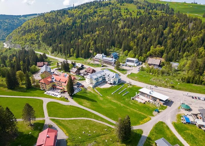 Auerhuhn フェルトベルク